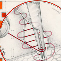 2005, Vanitas, medical illustrations