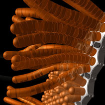 2007-2010, DAISY.WORLD, space-capturing kinetic media system